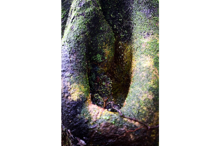 DSC_1146