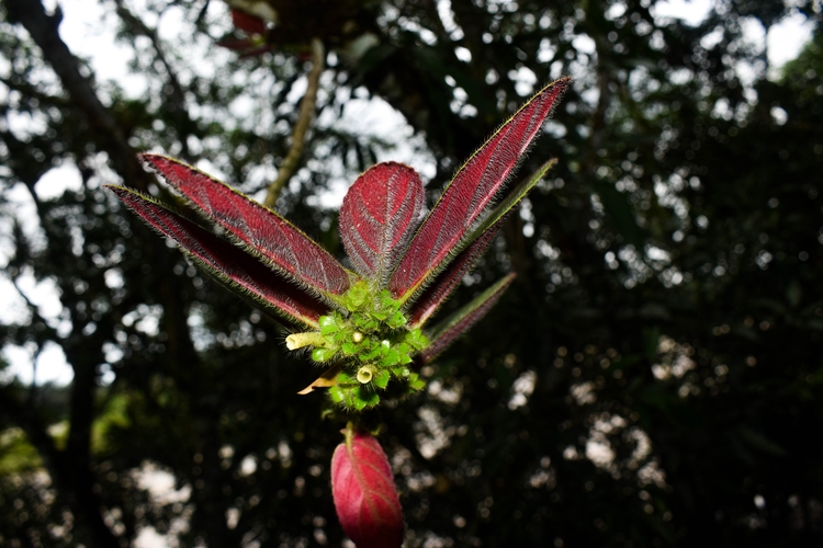 DSC_1175
